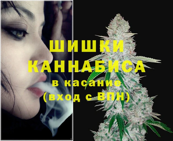 сатива Инсар