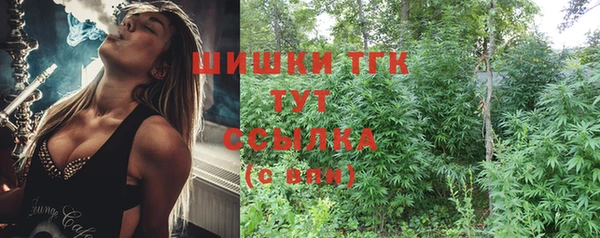 сатива Инсар