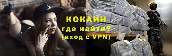 сатива Инсар