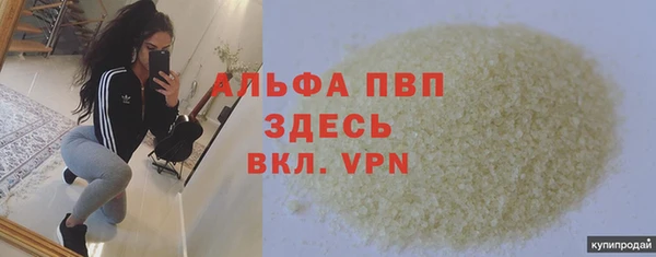 сатива Инсар