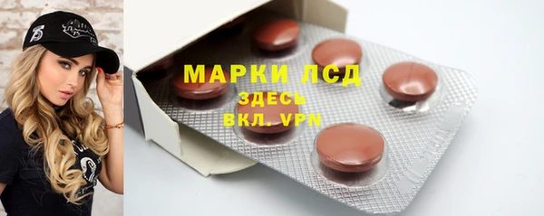 сатива Инсар