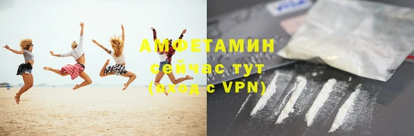 сатива Инсар