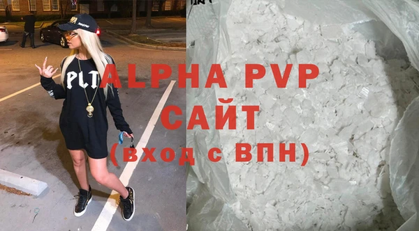 сатива Инсар