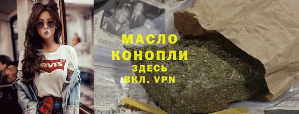 сатива Инсар