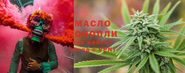 сатива Инсар