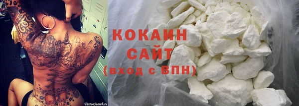 сатива Инсар