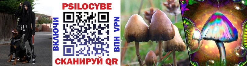 Псилоцибиновые грибы Psilocybine cubensis  Купить закладки  Шали 