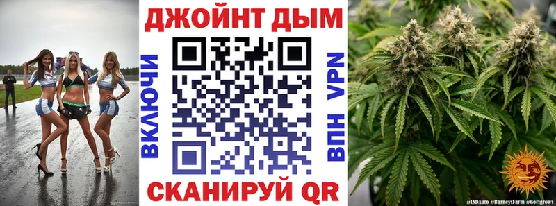 Шишки марихуана конопля  Купить где  Шали 